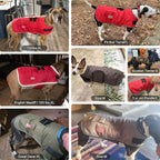 BEAUTYZOO Dog Winter Coat for X-Large Dogs Waterproof, Warm Reflective Great Dane Oxford Canvas Jacket, Fleece Dog Cold Weather Coats Windproof for Female Male Dogs, Green XL