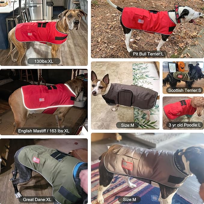 BEAUTYZOO Dog Winter Coat for Medium Dogs Waterproof, Warm Reflective Great Dane Oxford Canvas Jacket, Fleece Dog Cold Weather Coats Windproof for Female Male Dogs, Grey M