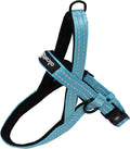 Alcott Norwegian Harness, Blue, Extra Large