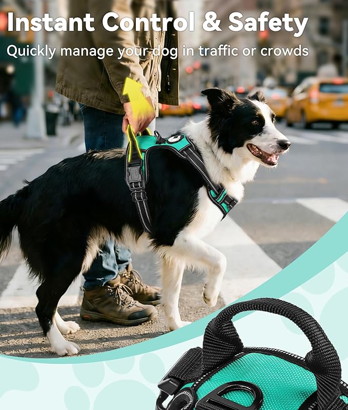 Joytale No Pull Dog Harness Medium Sized Dog, Reflective Pet Vest with Front Clip, Adjustable Soft Padded Harnesses with Easy Control Handle for Training and Walking, Teal, M