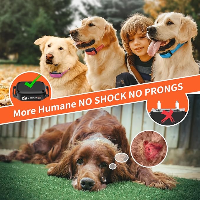 PaiPaitek No Shock Dog Training Collar for 3 Dogs, 9 Levels Vibration & Beep, Waterproof Vibrating Dog Collar with Remote 3300ft, Buzz Collar for Small Medium Large Dogs 5-120 lbs - No Prongs