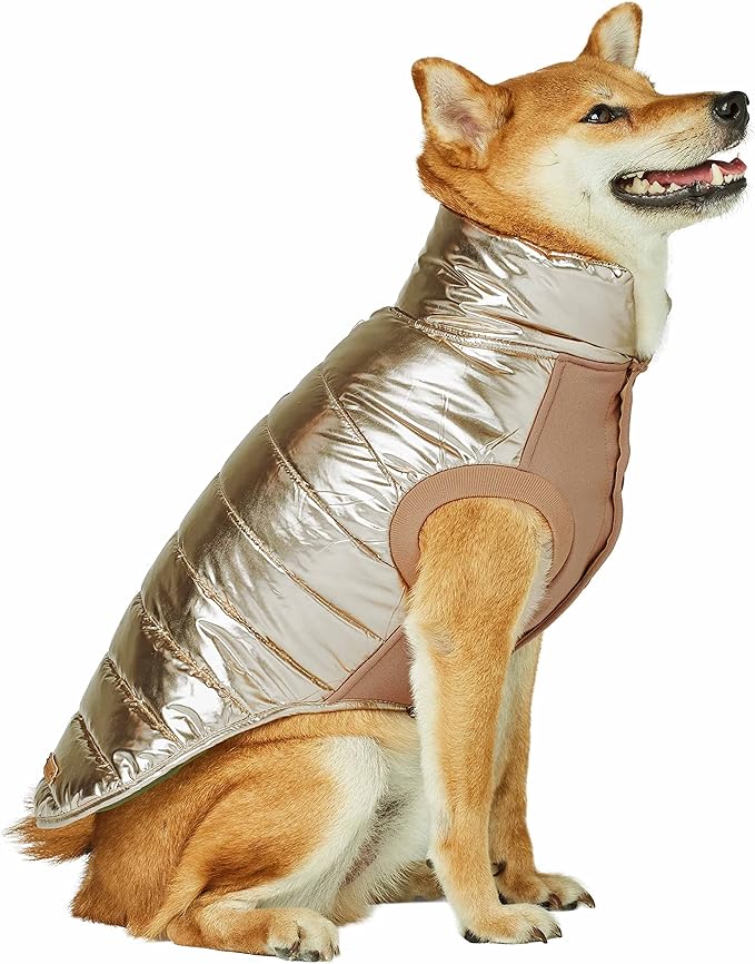 Blueberry Pet Cozy & Comfy Windproof Lightweight Quilted Fall Winter Glossy Dog Puffer Jacket in Gold, Back Length 14", Size 12, Warm Coat for Small Dogs