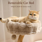 HITTITE Natural Solid Wood Cat Tree Tower with Scratching Post, 32 Inches Tall Modern Cat Tower with Cozy Bed and Platforms, Luxury Real Branch Cat Tree for Indoor Cats Large Adult, Khaki.