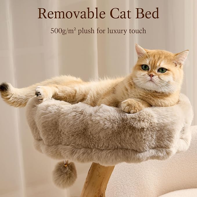 HITTITE Natural Solid Wood Cat Tree Tower with Scratching Post, 32 Inches Tall Modern Cat Tower with Cozy Bed and Platforms, Luxury Real Branch Cat Tree for Indoor Cats Large Adult, Khaki.