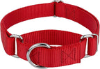 Country Brook Petz - Martingale Dog Collar - Heavy-Duty Training Collar with No Buckle - Service Dog Collar for All Pups - 10+ Warm Colors (Red, 1 Inch, Large)