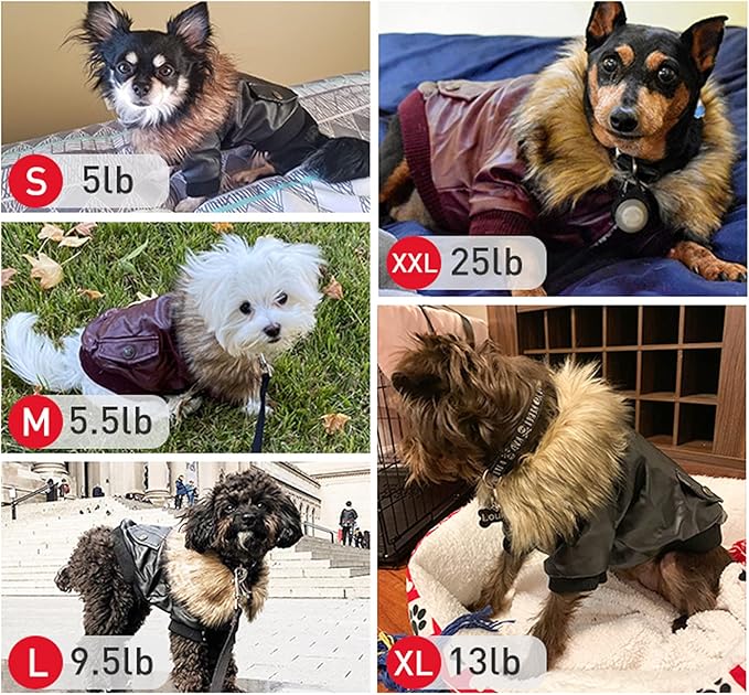 LESYPET Dog Leather Jacket for Small Dogs, Waterproof Dog Winter Jacket Puppy Coat with Fleece Lined, Ultra Warm Fur Collar Doggie Coat, Black S