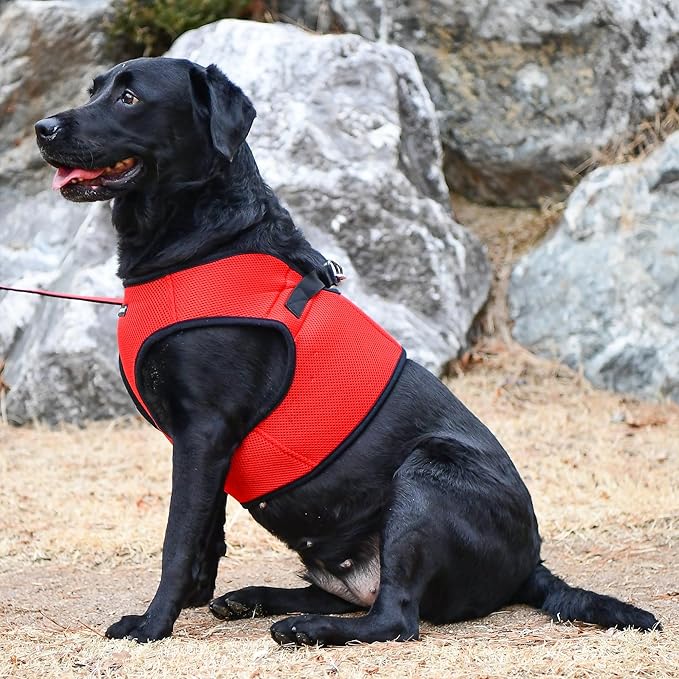 PUPPIA International Puppia Harness Soft B Vest RED XLarge