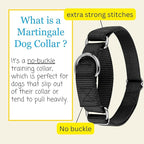 Country Brook Petz - Martingale Dog Collar - Heavy-Duty Training Collar with No Buckle - Service Dog Collar for All Pups - 10+ Cool Colors (Black, 3/8 Inch, 3XS)