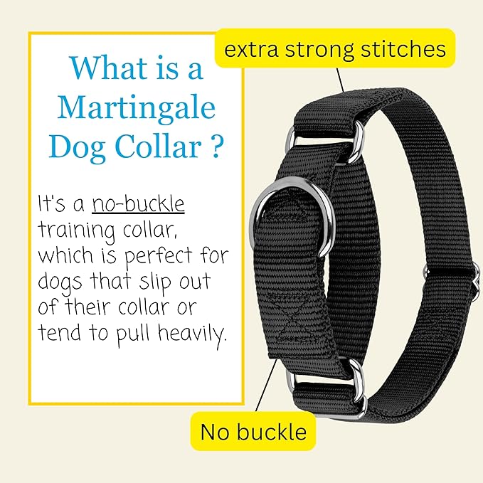 Country Brook Petz - Martingale Dog Collar - Heavy-Duty Training Collar with No Buckle - Service Dog Collar for All Pups - 10+ Cool Colors (Black, 3/8 Inch, 3XS)