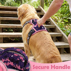 Funfox Dog Harness No Pull, Adjustable Pet Vest Harness, Super Soft Material with Vertical Handle Easy Control, Reflective Night Walking, 2 Leash Clips for Small Sized Dogs, Mosaic Pink, S