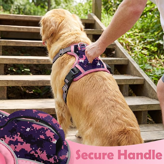Funfox Dog Harness No Pull, Adjustable Pet Vest Harness, Super Soft Material with Vertical Handle Easy Control, Reflective Night Walking, 2 Leash Clips for Small Sized Dogs, Mosaic Pink, S