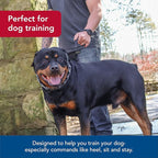 Coastal Pet Titan Dog Prong Quick Release Training Collar - Pet Training Collar for Dogs - Rust-Resistant Metal Dog Collar for Dog Training - Prong Dog Chain Collar - Quality Dog Supplies - 3 mm x 18"