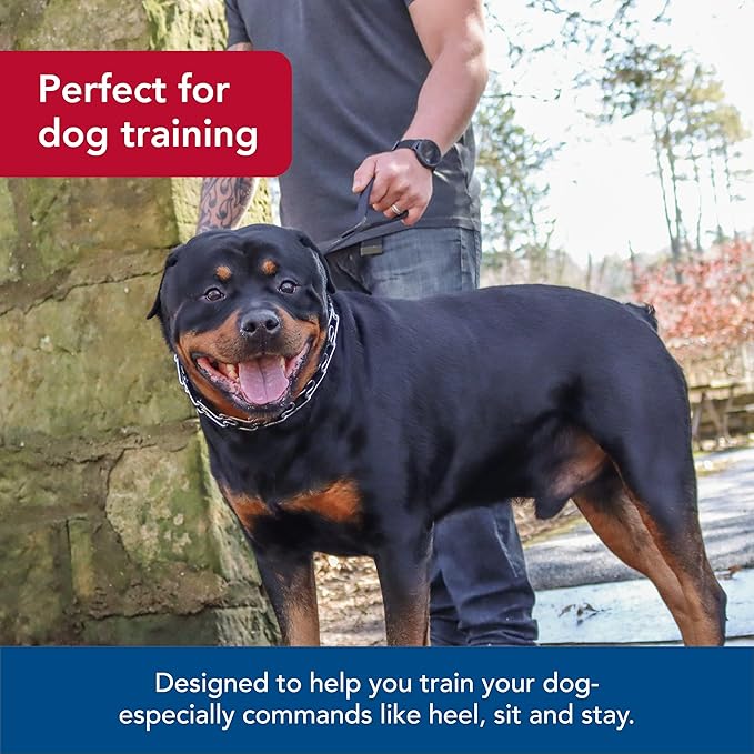 Coastal Pet Titan Dog Prong Training Collar - Rust-Resistant and Prong Metal Training Chain Collar for Dogs - Quality Supplies - 4 mm x 22"