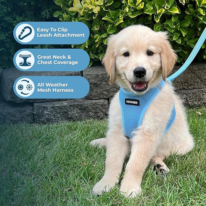 Best Pet Supplies Voyager Step-in Air All Weather Mesh Harness and Reflective Dog 5 ft Leash Combo with Neoprene Handle, for Small, Medium and Large Breed Puppies - Set (Baby Blue), M