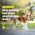 PetSafe Deluxe Easy Walk Harness - Trainer-Trusted Dog Chest Harness with Breathable Martingale Loop Design - Helps Stop Pulling with No Choking & Gagging - Small - Ocean