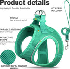 Fida Cat Harness and Leash Set for Walking Kitten and Puppy, Escape Proof Kitten Harness with Breathable Lightweight Soft Mesh, Adjustable Reflective Step-in Design. (S, Green)