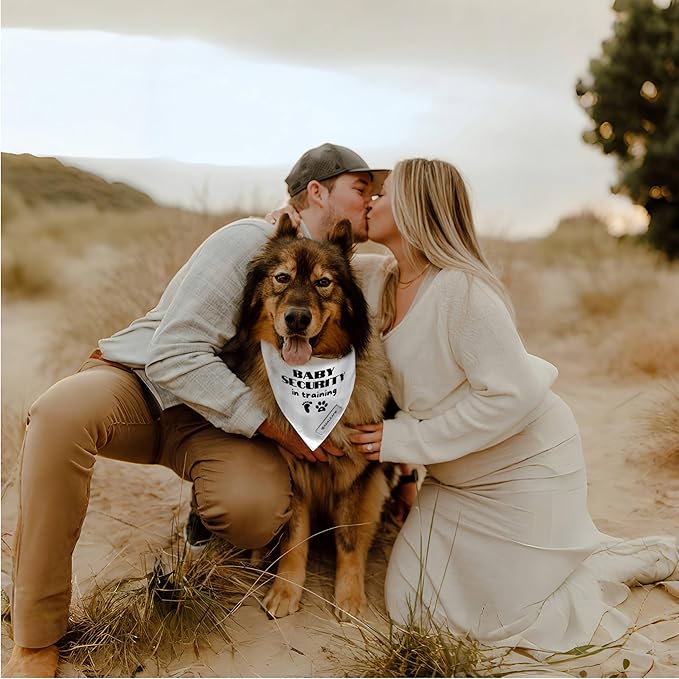 Realeaf Baby Security in Training Dog Bandanas Pet Scarf for Small Dogs Pregnancy Announcement Pet Accessories Pregnancy Reveal Ideas (Baby Security in Training, Small)