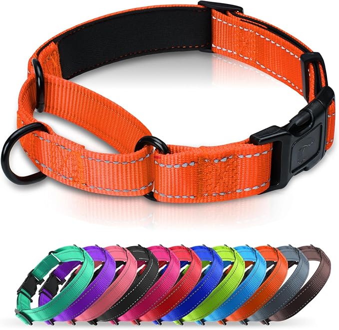 Martingale Collar for Dogs with Quick Release Buckle, Reflective Soft Padded & Escape Proof, Adjustable Nylon Dog Collars for Training & Daily Walking (Orange,S)
