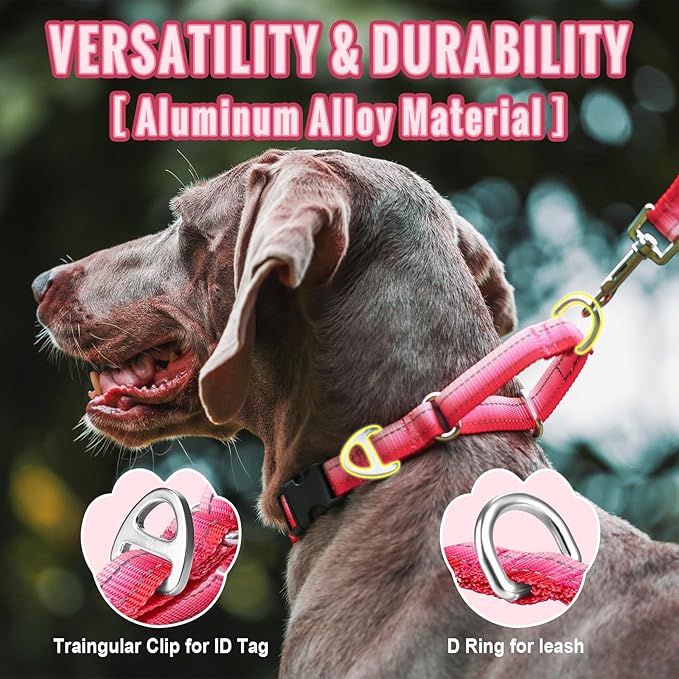 Martingale Collar for Dogs Large Medium Small Heavy Duty Buckle Dog Collar with Tag Ring Reflective Nylon Gradient Dog Collar No Pull Training Collar