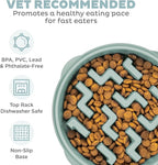 Outward Hound Medium Slow Feeder Bowl, Puzzle Maze for Fast Eaters, Small to Medium Dogs, Helps Prevent Bloat & Aid Digestion, Holds 2 Cups Wet or Dry Food, Non-Slip, Made Without BPA, Sage