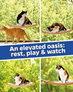 Cat Window Hammock for Large Cats – Strong Suction Cup Cat Window Perch Bed, Durable Eco, Washable Cover, Space Saving Window Seat for Indoor Cats (XL)