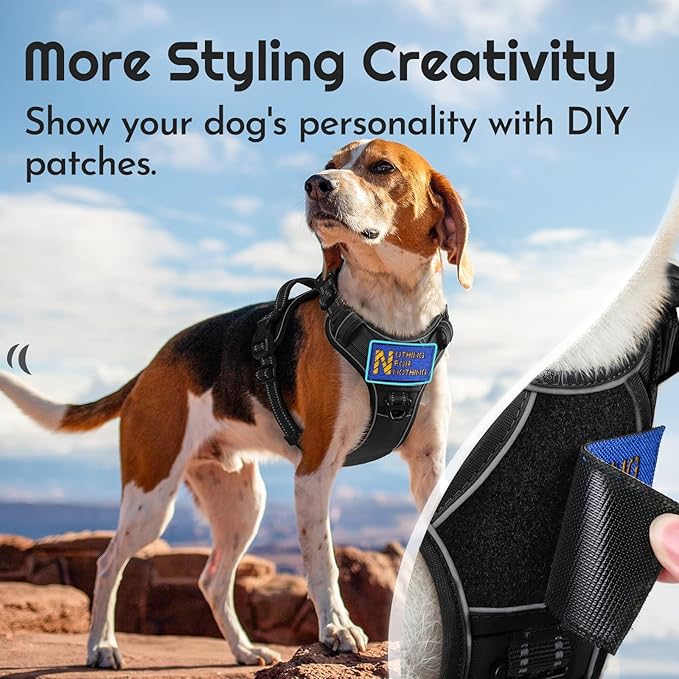 Eagloo Dog Harness Medium Sized, Easy Wearing with 3 Quick-Release Buckles, Adjustable No Pull Pet Harness with MOLLE System, No Choke Reflective Vest with Control Handle, Black, M