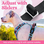 rabbitgoo Dog Harness Small Sized, No Pull Dog Vest with 3 Buckles, Adjustable Soft Padded Pet Harness with Easy Control Handle and Reflective Strips, Rose Pink & Blue, S