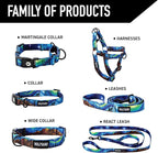 Wolfgang Heavy Duty Martingale Dog Collar with Quick Release Nylon Buckle for Walking & Training, StarryWolf Print, Medium