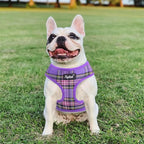 PUPTECK Soft Mesh Dog Harness and Leash Set Pet Puppy Cat Comfort Padded Vest No Pull Harnesses, Purple, S