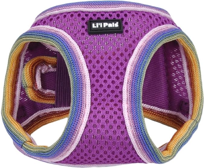 Lil Pals Mesh Comfort Mesh Adjustable Step-in Dog Harness for Puppies and Toy Breeds (Orchid, Petite Small)