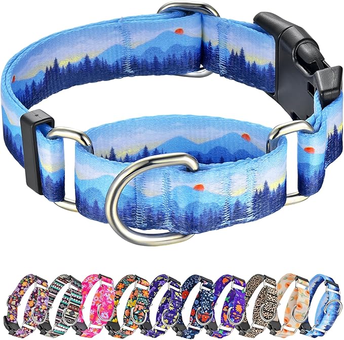 Hikiko Martingale Collar for Dogs Soft Durable Dog Collar for Small Medium Large Boy and Male Dogs No Pull No Slip Safety Buckle Dog Collars (Hill,Small)