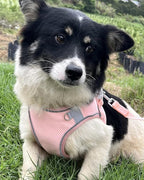 Dog Harness for Small Medium Sized Dog, Step in Puppy Harness and Leash Set Training Walking. (Peach, S)