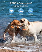 Jugbow Dog Shock Collar 2 Dogs (10-120Lbs) - 4200FT Dog Training Collars with Remote Control, IPX8 Waterproof Rechargeable E-Collars for Large Medium Small Dog