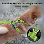 Plutus Pet Adjustable No Pull Dog Harness with Leather Accents, Heavy Duty Reflective Nylon Vest for Training, Hiking, Easy Walk Harness for Small, Medium, Large Dogs (Green, M)