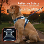 3 in 1 No Pull Dog Harness Leash and Collar Set, Soft Adjustable Dogs Vest Reflective and Comfortable Handle Blue X-Large