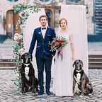 Dog Tuxedo Suit Wedding Bandana Collar with Bow Tie, Adjustable Formal Dog Tux, Engagement Birthday Tuxedo for Small Medium Large Dogs Pets (Small: Neck 12.5”-21”)