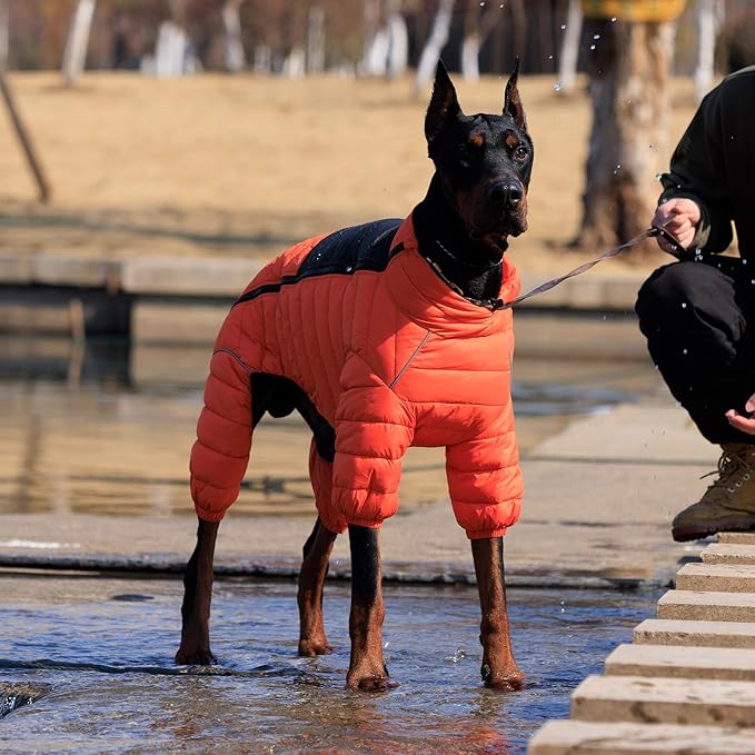 Orange XXXXL Dog Jacket: 4 Legs Covered, Windproof, Reflective, Adjustable Zippered, Waterproof, Small to Large Dogs