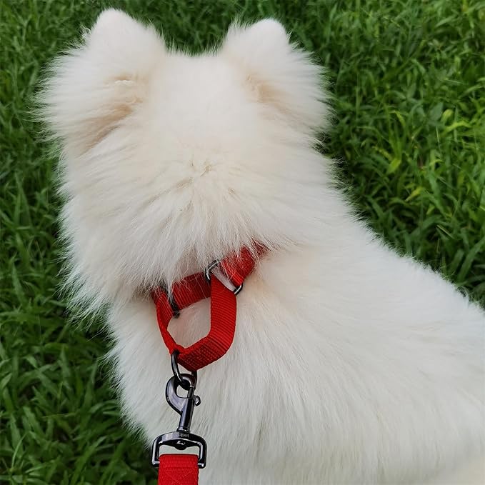 Premium Nylon Adjustable Anti-Escape Martingale Dog Collar,Heavy Duty Metal Hardware for Large Active Dogs Daily Walking,Training,etc...(Chili Pepper, Large)
