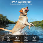 Dog Shock Collar 2 Dogs, 3300ft Dog Training Collar with Remote, IPX7 Waterproof Rechargeable Sleek Modern for All Dogs with Beep, Vibration, Safety Shock, Light Mode, 8-120 lbs NF