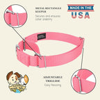 Country Brook Petz - Martingale Dog Collar - Heavy-Duty Training Collar with No Buckle - Service Dog Collar for All Pups - 10+ Warm Colors (Pink, 3/8 Inch, 3XS)