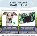 Lucky Love Dog, Tropical Matching Dog Collar & Leash Set, Soft & Comfy, Vivid Pink Color Collar and Leash for Female Male Dogs - (Medium, Laguna Combo)