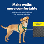 PetSafe Easy Walk Comfort No-Pull Dog Harness - Better Walk Training Harness - Full Body Padded Design - Durable Fabric - 5 Point Adjustable Fit - Everyday Leash Training - Green - X-Small