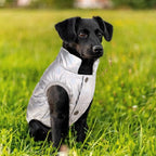 ASENKU Dog Winter Coat - Waterproof Windproof Dog Jacket, Warm Snowproof Doggie Puffer Vest for Cold Weather, Lightweight Snow Coats for Small Medium Large Dogs (Silver, 2XL)