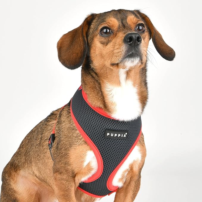Puppia Soft Dog Harness II Mesh Over-The-Head All Season No Pull No Choke Walking Training Adjustable for Small & Medium Dog - Grey - M