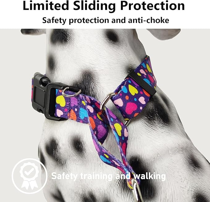 Valentines Martingale Collar for Dogs with Buckle No Pull Adjustable Nylon Limited Slip Training Dog Collars (Purple Love, Large)