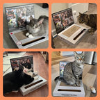 2PCS Cat Scratcher Laptop with 'Mouse' Jingle Ball, Stickers, 3-in-1 Cardboard Cat Interactive Toy, Kitten Toy & Cat Scratching Pad
