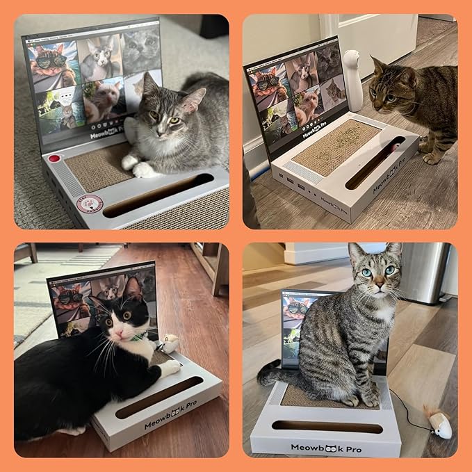 Cat Scratcher Laptop Cat Toy with 'Mouse' Jingle Ball, Stickers, 3-in-1 Cardboard Cat Interactive Toy, Kitten Cardboard Scratching Pad