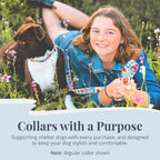 Lucky Love Dog Martingale Dog Collar - Adjustable, No-Slip, Durable, & Soft Webbing Collar for Male and Female Dogs Ideal for Training & Walking - Ladybird, Medium