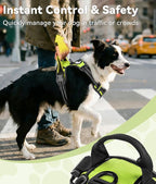 Joytale No Pull Dog Harness for Small Dogs, Reflective Pet Vest with Front Clip, Adjustable Soft Padded Harnesses with Easy Control Handle for Training and Walking, Green, S