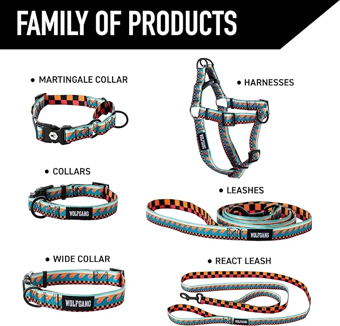 Wolfgang Heavy Duty Dog Leash, Pull-Tested for Walking & Training, BuenaOnda Print, Large